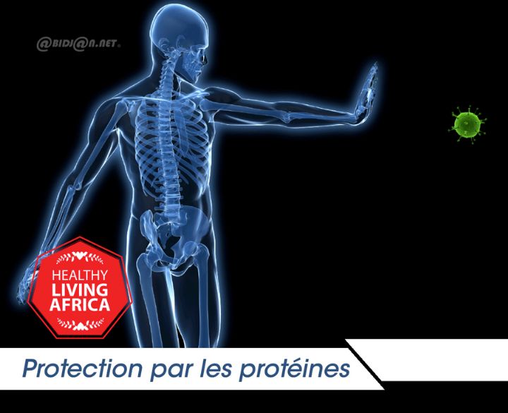 Un bon petit déjeuner améliore la performance mentale toute la journée (études)