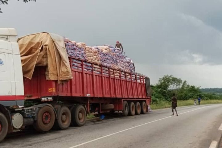 Côte d’Ivoire. Élevage. De l’argent dans le