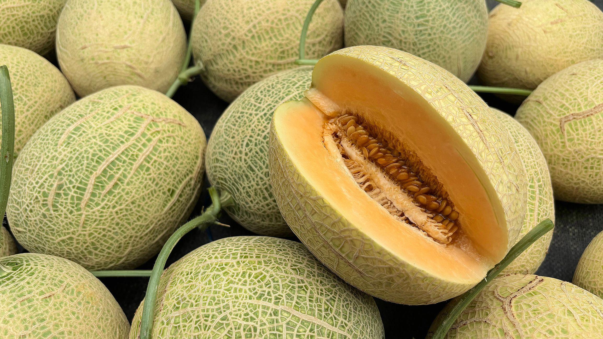 Le melon, un fruit aux bienfaits nutritionnels fascinants