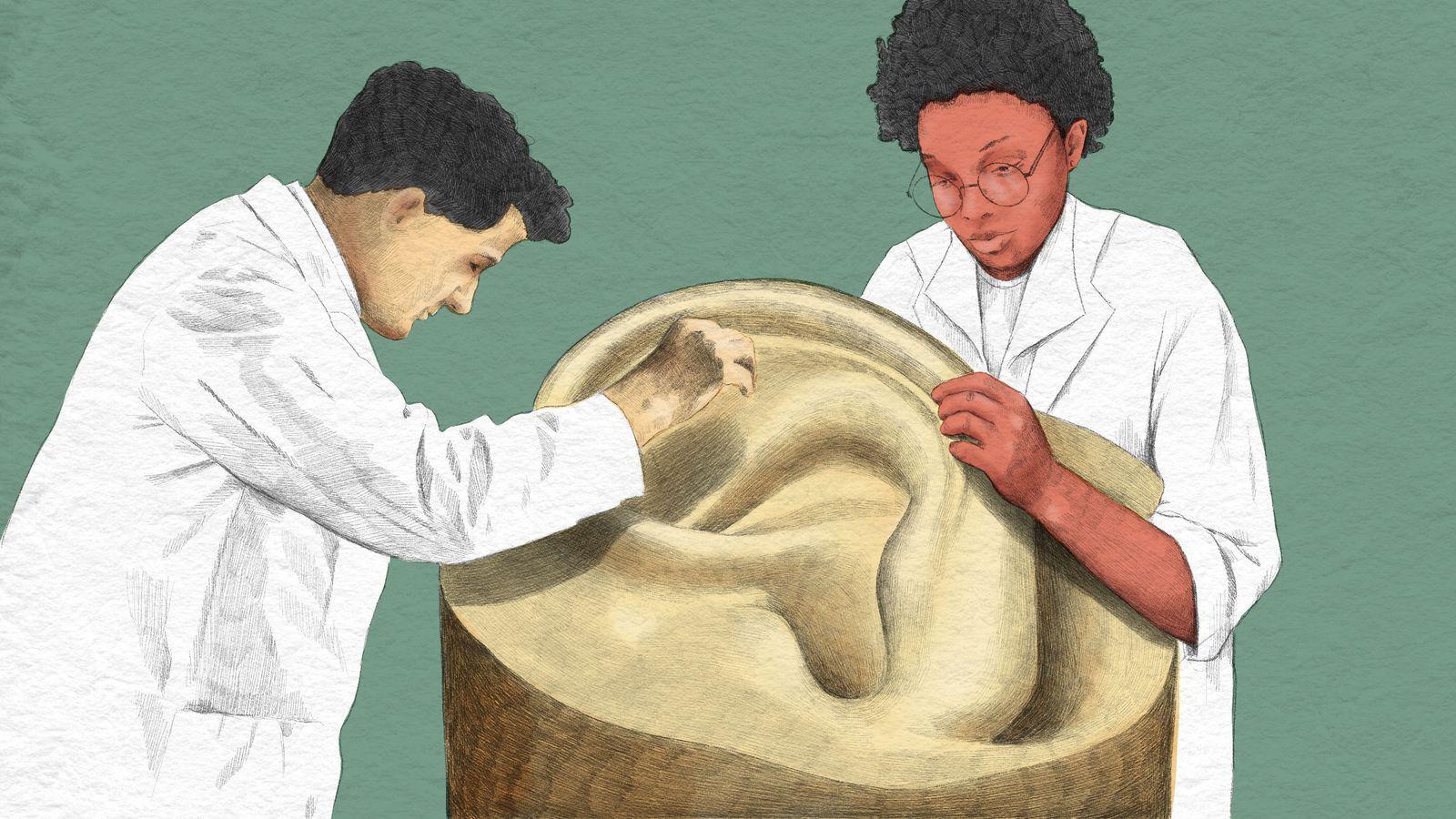 Que peut révéler le cérumen sur votre santé ?