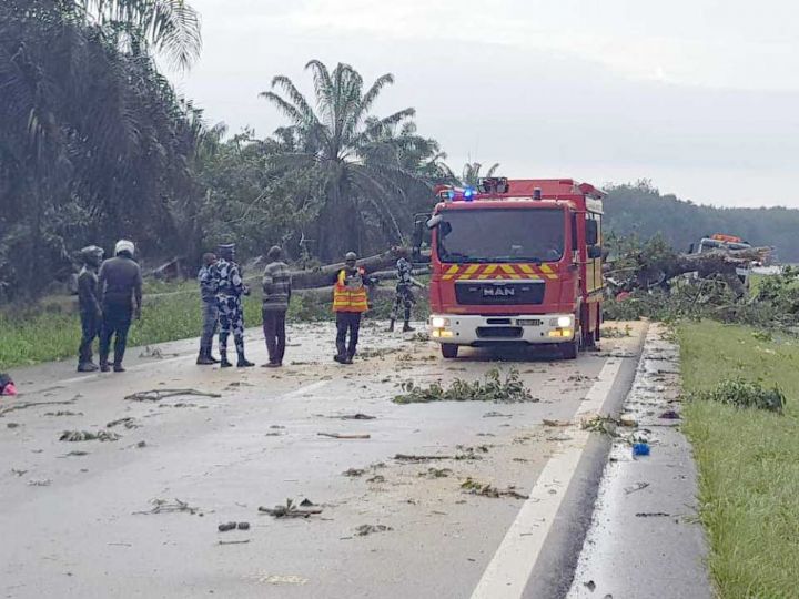 Côte d’Ivoire: un arbre scié par des individus s’abat sur un mini-car et fait 7 morts