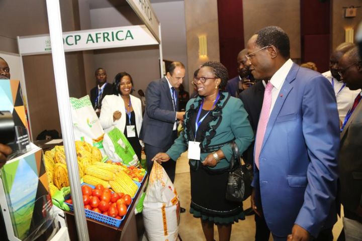 ‘’Transformation agricole, le défi africain’’, au centre de l’édition 2018 de Africa Agri Forum prévue en décembre à Libreville