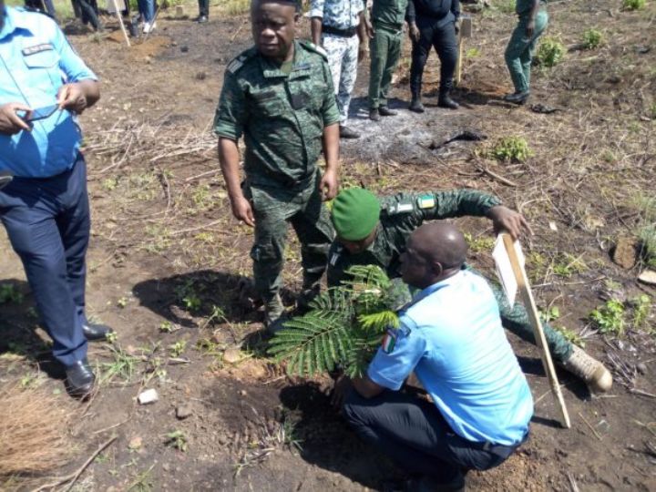 Reboisement : bientôt de nouvelles forêts classées à Dabou