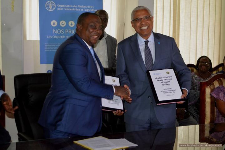 Côte d’Ivoire: baisse du taux de couverture en viande porcine de 16 à 11% en 2017 (Ministre)