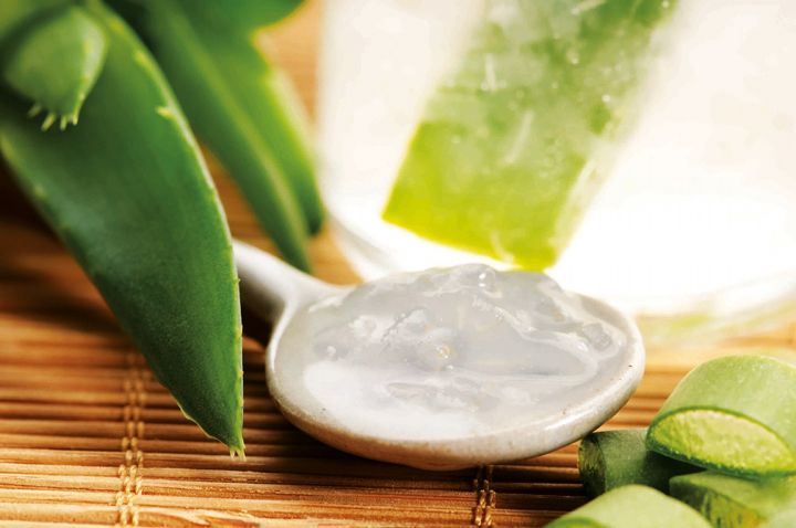 Santé et Bien-être/ALOE VERA: Bourreau des pathologies