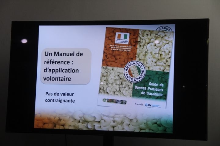 Côte d’Ivoire: un guide de bonnes pratiques de traçabilité du secteur anacarde élaboré