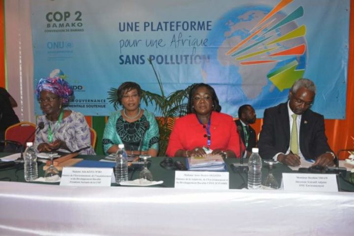 Probo Koala : Le rapport d’audit environnemental présenté au gouvernement