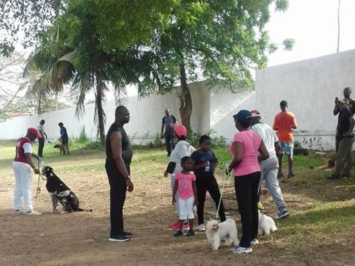 La deuxième édition de la balade canine aura lieu ce 17 mars à Abidjan
