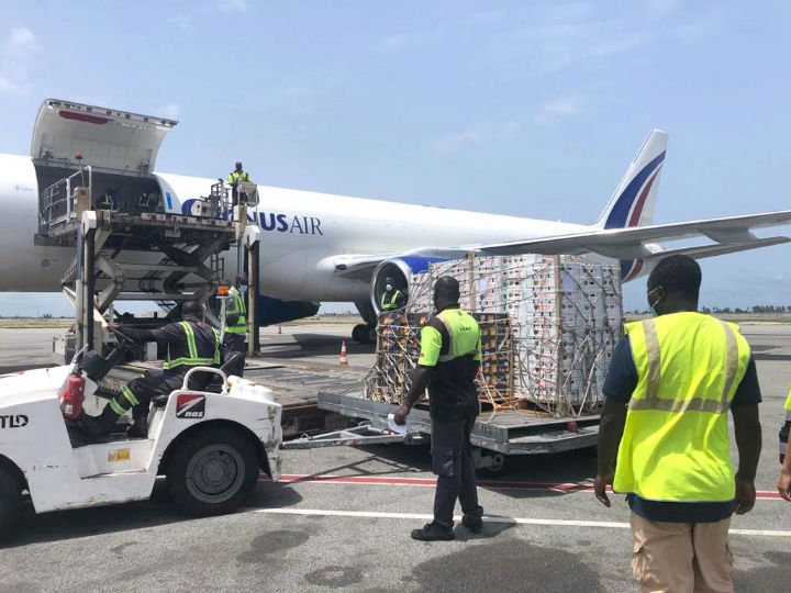 Bolloré Transport & Logistics soutient la filière mangue en Côte d’Ivoire, au Burkina et au Mali