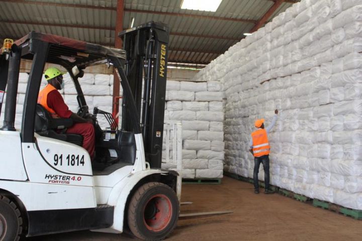 Lutte contre le paludisme : BOLLORE TRANSPORT & LOGISTICS   annonce l’acheminement en Côte d’Ivoire de conteneurs de moustiquaires