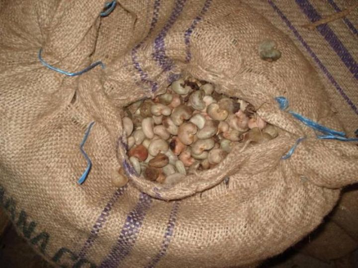 Filière cajou: la Côte d’Ivoire contrôle le prix sur le marché mais déficit d’appui bancaire et institutionnel