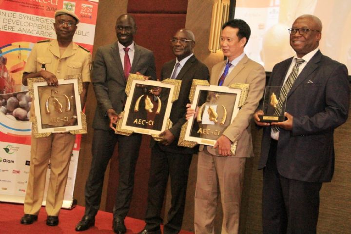 Filière cajou : le Vietnam premier gros importateur avec 450.000 tonnes