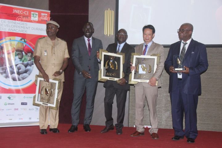 Filière Cajou: Les exportateurs en conclave à Abidjan