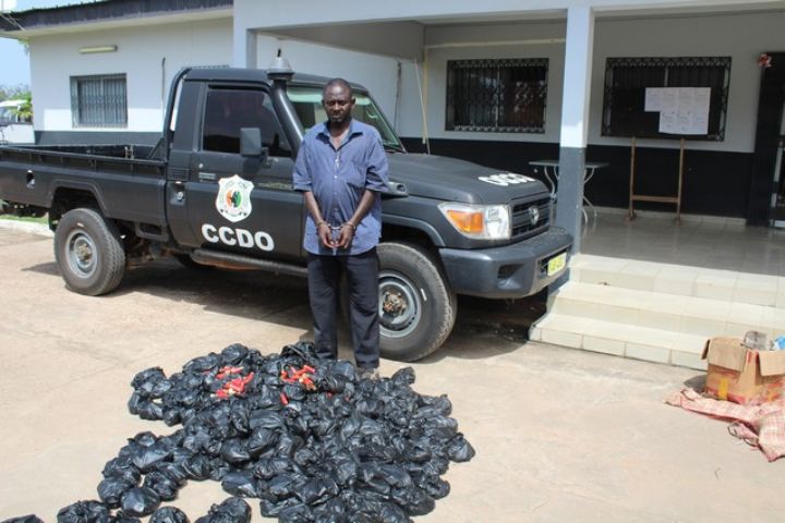 Côte d’Ivoire/ Plus de 7000 munitions saisies par le CCDO à Yamoussoukro