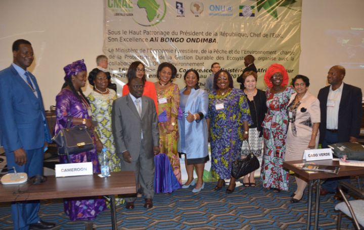 Clôture de la 16 Session de la CMAE au Gabon: Le leadership ivoirien se déploie sur le Continent africain