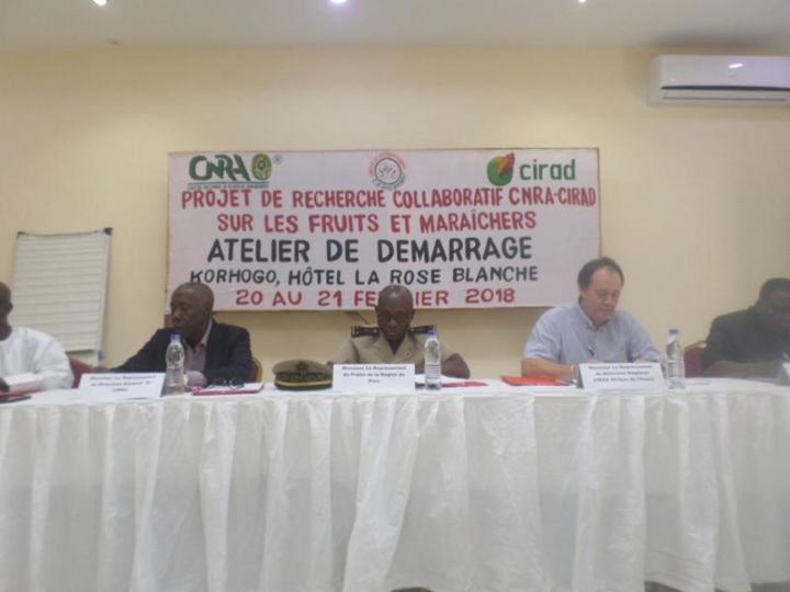 Korhogo: lancement du projet de recherche collaboratif CNRA-CIRAD sur les fruits et maraichers