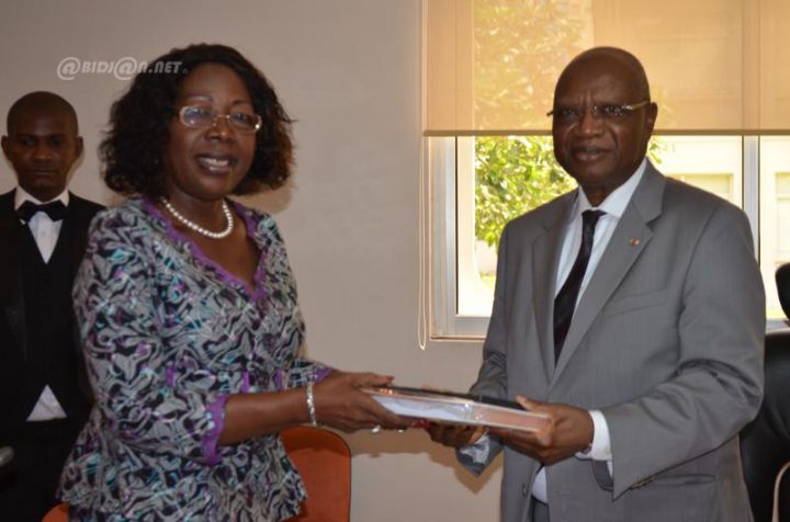 Compétences féminines : le compendium des femmes présenté au Conseil économique et social