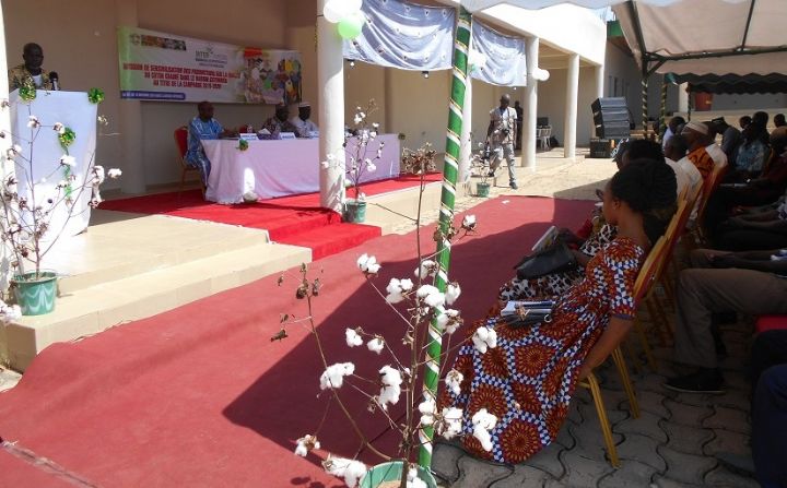 L’Intercoton et le FPC-CI achèvent une campagne de sensibilisation sur la qualité du coton graine