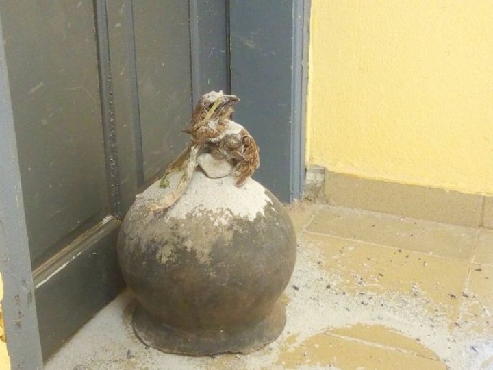 Des hommes de Dieu sollicités pour désenvouter le collège moderne de Bouna