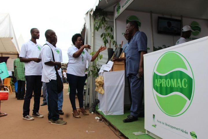 Hévéaculture : l’APROMAC annonce l’implantation de nouvelles usines en 2021