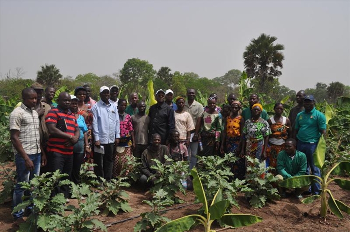 Agriculture : le Comité national de pilotage du PPAAO/WAAPP à la rencontre des bénéficiaires