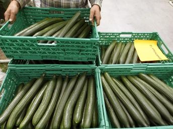 L`Allemagne déclare que des graines germées ont provoqué l`épidémie