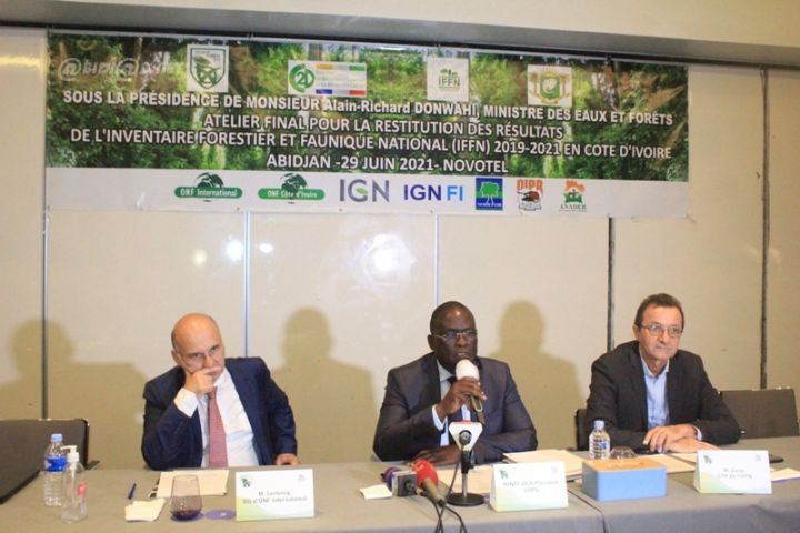 Le couvert forestier ivoirien estimé à 2,97 millions d’ha