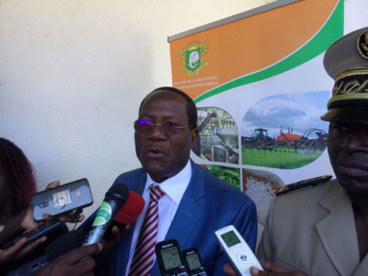 L’organisation des producteurs, un pilier principal de la modernisation de l’agriculture ivoirienne