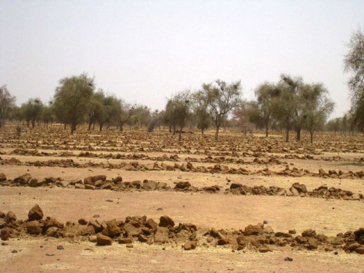La FAO et l’UE intensifient la lutte contre la désertification en Afrique, aux Caraïbes et dans le Pacifique
