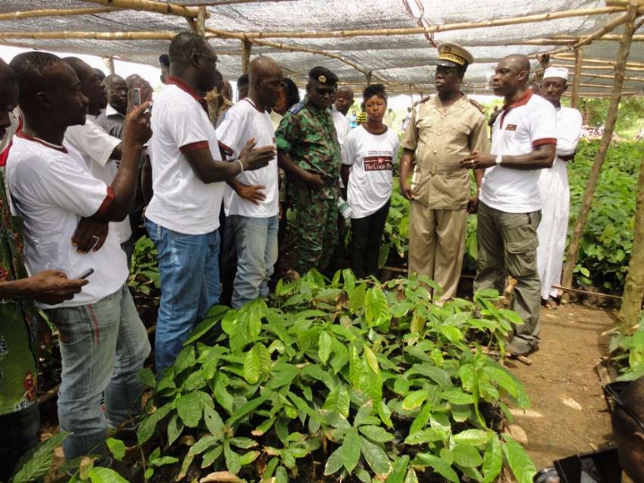 4ème Edition des distributions de plants  - Nestlé veut offrir 12.000.000 plants de Cacao aux producteurs.