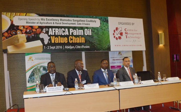 Filière Palmier à huile : La Côte d’Ivoire ambitionne conquérir le marché international (ministre)