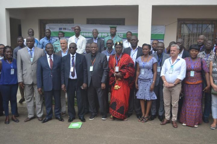 Exploitation illégale du bois en Côte d’Ivoire : Les acteurs de la  filière se mobilisent