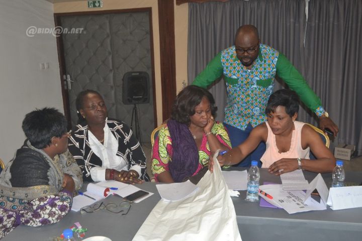 Lever des obstacles pour l’application des textes sur la parité en Côte d’Ivoire : la société civile outillée par un expert