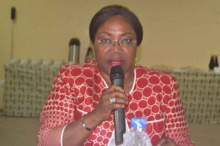 Ivoiriens de l’extérieur: Le gouvernement prépare une politique de gestion