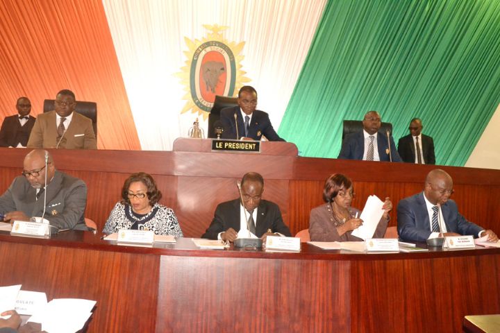 Séance plénière extraordinaire / projet de loi sur la nouvelle constitution: déclaration  du CES