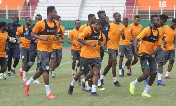 CAN 2019 : Les Eléphants de Côte d’Ivoire démarrent leur préparation le 31 juin