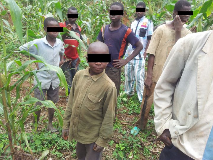 Monde rural: exploitation des enfants dans les plantations: réalité ou illusion ?