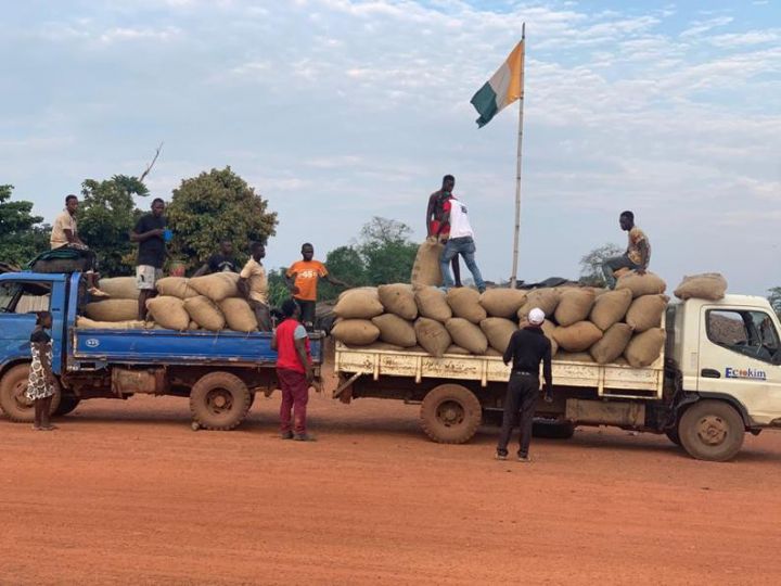 La gouvernement ivoirien a décidé d’accorder 20% des achats de contrats d’exportation des multinationales à ses nationaux