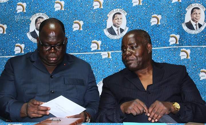 Référendum constitutionnel: L’UDPCI opte pour le ‘’oui’’