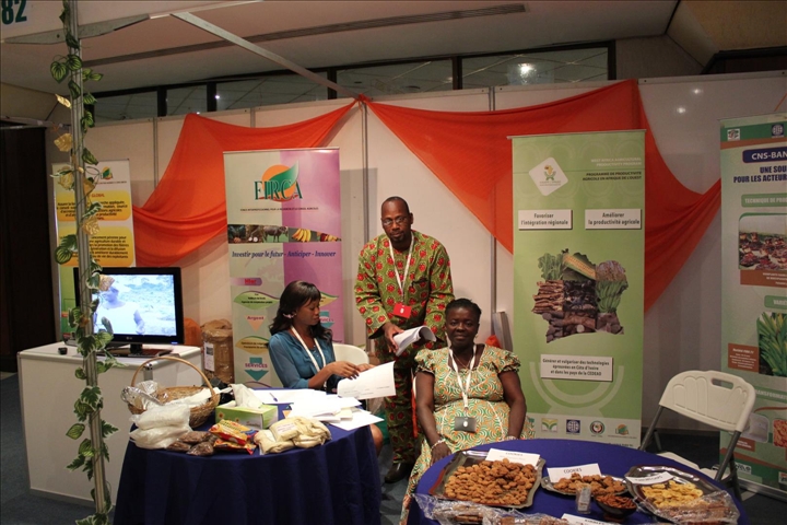 Accra (Ghana): Les acteurs agricoles africains s’imprègnent de l’expérience du FIRCA et du PPAAO-Côte d’Ivoire