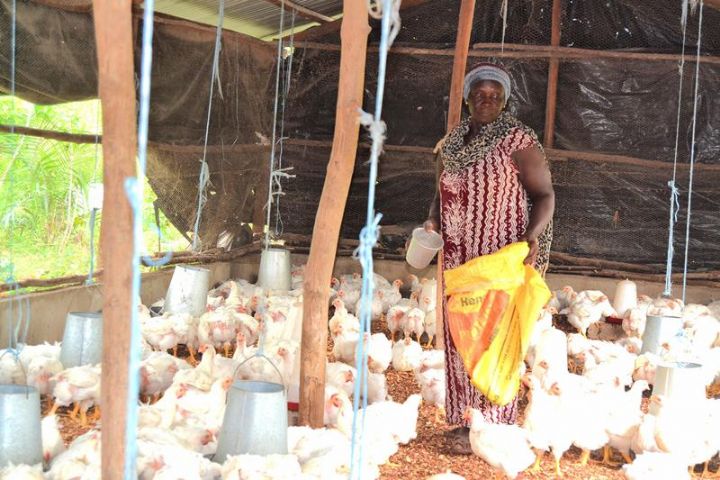 Autonomisation de la femme : Plus de 150000 femmes financées par le FAFCI