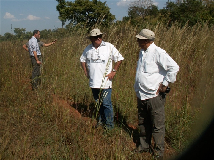 Economie/ Ferkessédougou: Des techniciens français  relancent la production de la tomate et des légumes au nord