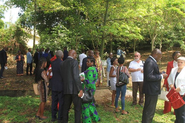 Environnement : ouverture d’un site web pour la protection de la forêt