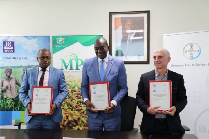 Des fournisseurs d’engrais s’engagent pour la redynamisation de la riziculture