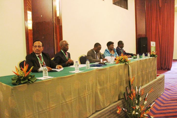 Hévéaculture : Le Gouvernement veut accroître sa production par un transfert de technologies aux planteurs