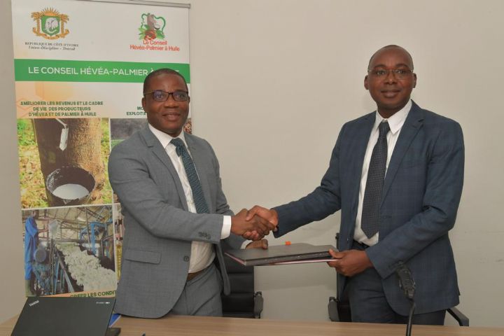 Le Conseil Hévéa-Palmier à huile lance une étude sur la compétitivité des deux filières