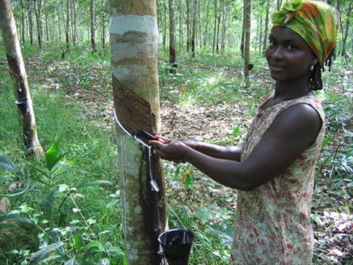Sommet international des coopératives au Canada: La Côte d’Ivoire exporte son expertise au Québec