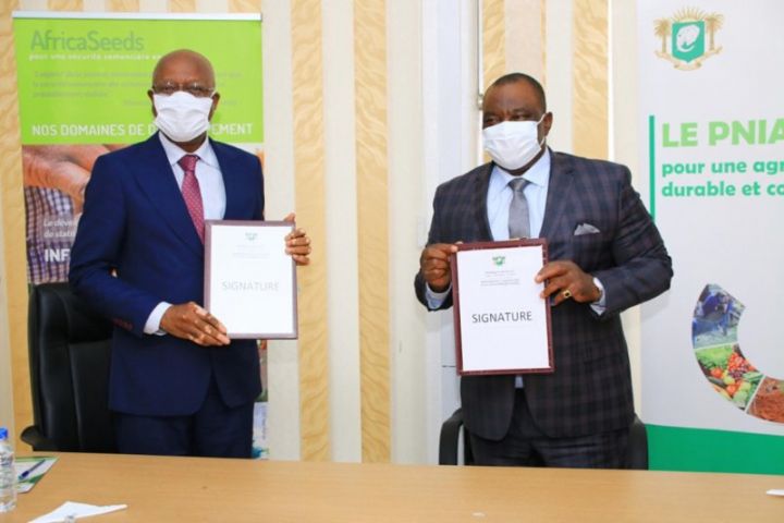 Développement de la filière semencière : Un accord signé entre le gouvernement ivoirien et Africaseeds