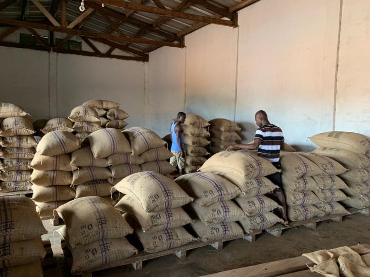 Côte d’Ivoire : Les 6 multinationales exigent du CCC des réductions massives de prix pour acheter 100 000 tonnes de cacao aux mains des exportateurs ivoiriens