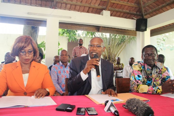 Nouvelle Constitution ivoirienne: 